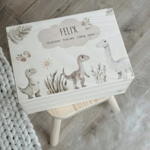 Erinnerungsbox „Dino" mit kindlichen Dinosauriern, personalisiert