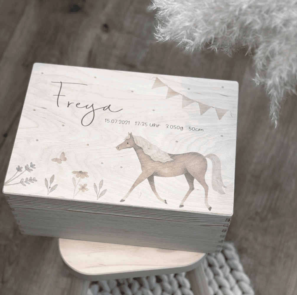Erinnerungsbox Erinnerungskiste Pferd Blumen Schmetterling aquarell pastell Girlande GEshcenk zur Geburt Babygeschenk